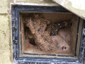 rats can enter through drainage systems