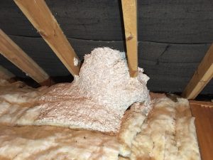 Removing wasp nests from attic