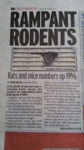 Rampant rats in the news