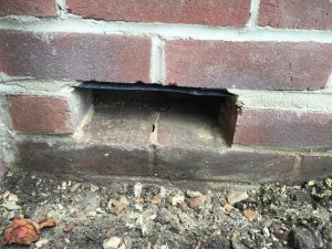 Hole where rodent damaged air brick was in wall.